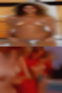 Letitiarex, cock